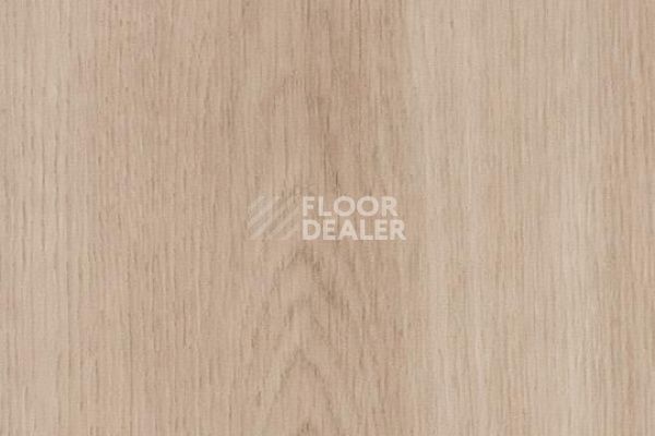 Плитка ПВХ Forbo Allura Decibel 8WSM03-3WSM03 dune smooth oak фото 1 | FLOORDEALER